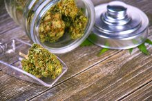 Should You Use Cannabis to Prevent Illness?