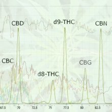 Data Distortion: Use & Abuse of Cannabis Science