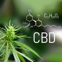 CBD Myths & Misconceptions