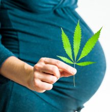 Pregnancy Complications: Can Cannabis Harm a Fetus?