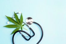 Cannabis and the Immune System: A Complex Balancing Act