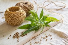 Five Fallacies About Hemp