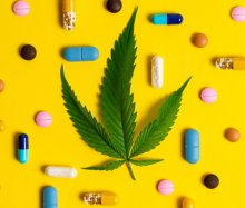 Cannabis Instead of Polypharmacy?