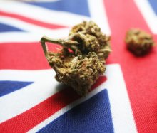 Slow Progress for Medical Cannabis in the UK