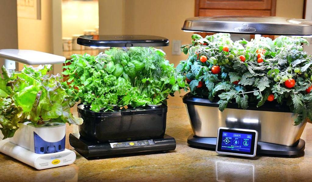 Aerogarden Reviews 2020 (All Models)