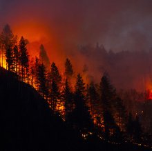 Cannabis, the Climate Crisis & the West Coast Wildfires