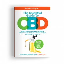 The Essential Guide to CBD