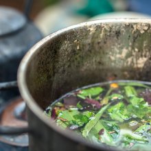 Ayahuasca and the Endocannabinoid System