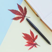 Japanese Cannabis Regulation Reform – Finally?